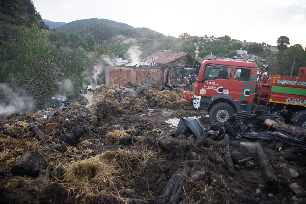 Bolu'da çıkan orman yangını kontrol altına alındı