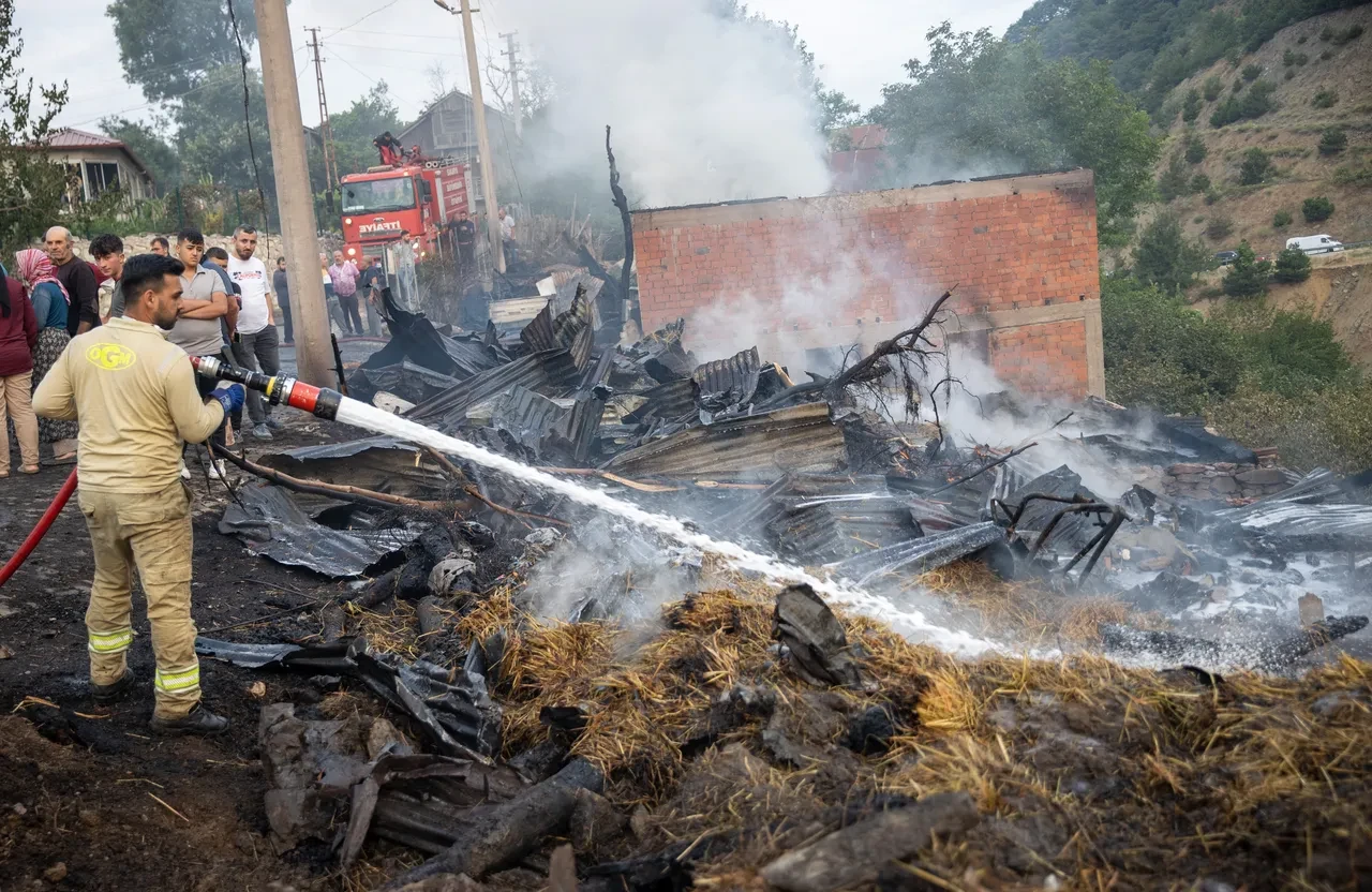 Bolu'da çıkan orman yangını kontrol altına alındı