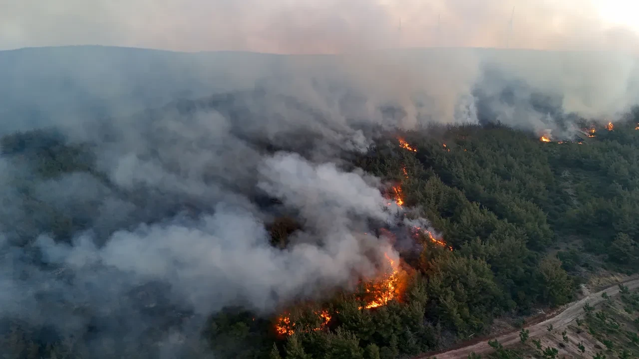 Çanakkale ve Tekirdağ'da korkutan yangın! Evler küle döndü, hayvanlar öldü, köylüler sinir krizi geçirdi