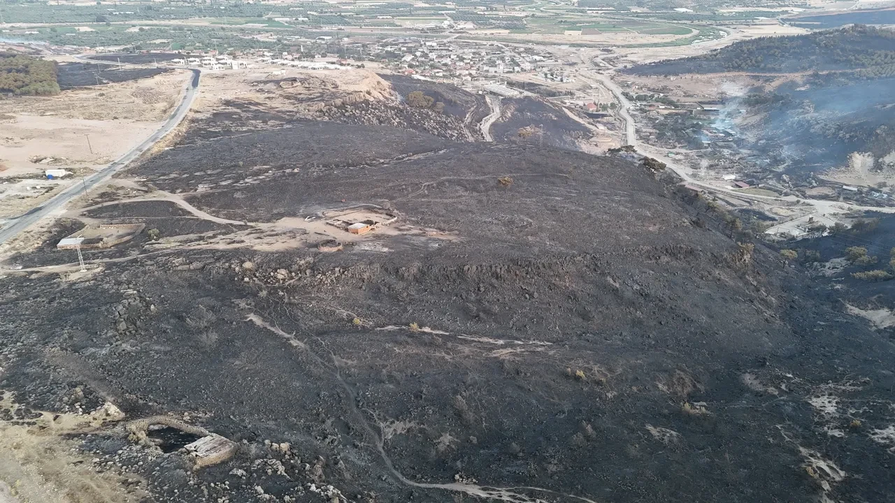 Çanakkale'de orman yangını! Bölgeden kahreden görüntüler: Yeşil siyaha döndü 