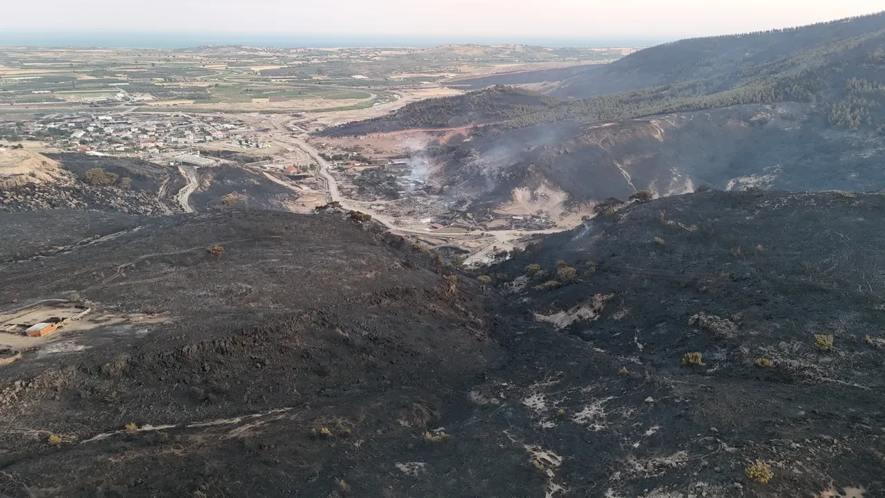 Çanakkale'de orman yangını! Bölgeden kahreden görüntüler: Yeşil siyaha döndü 
