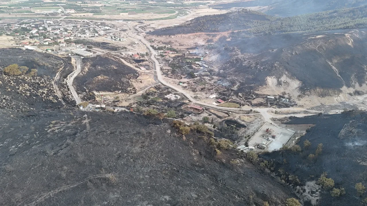 Çanakkale'de orman yangını! Bölgeden kahreden görüntüler: Yeşil siyaha döndü 