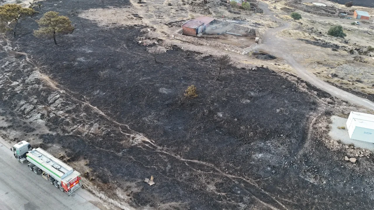 Çanakkale'de orman yangını! Bölgeden kahreden görüntüler: Yeşil siyaha döndü 