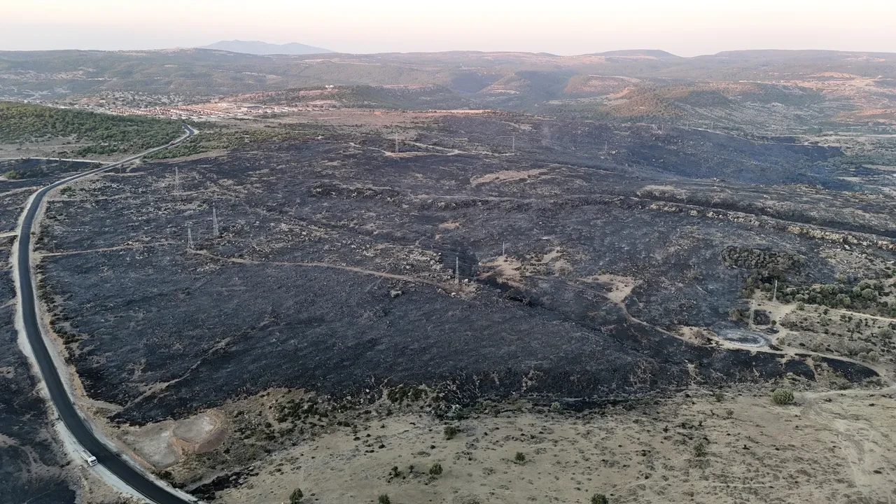 Çanakkale'de orman yangını! Bölgeden kahreden görüntüler: Yeşil siyaha döndü 