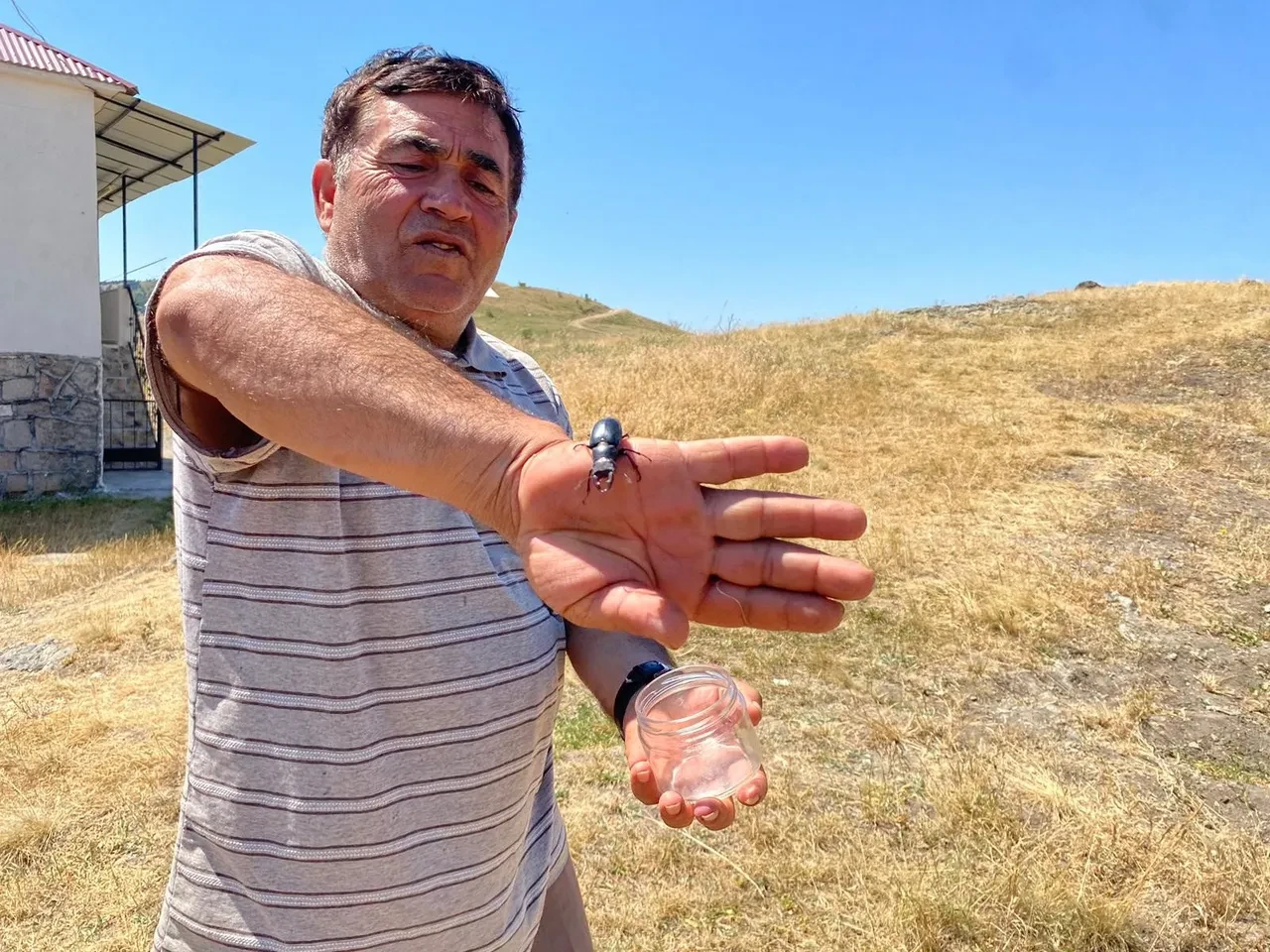 Ender görülen canlı, Sivas'ta ortaya çıktı! Öldürmenin cezası 557 bin TL