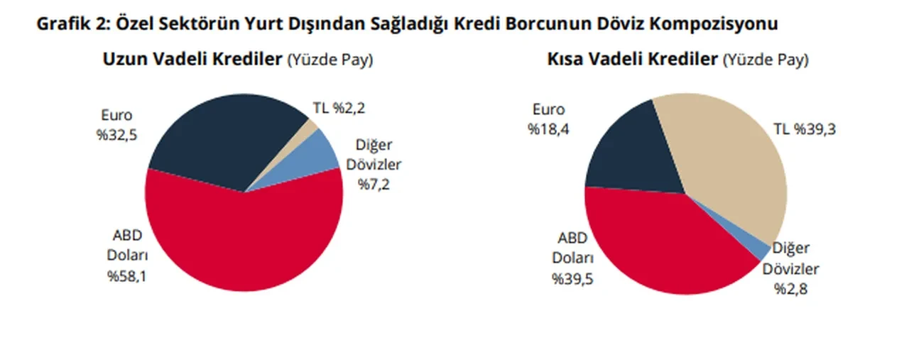 Özel sektörün yurt dışı kredi borcu 66 ayın zirvesinde