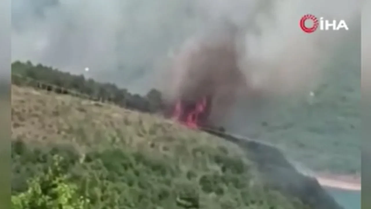 Sultangazi Kent Ormanı'nda korkutan yangın