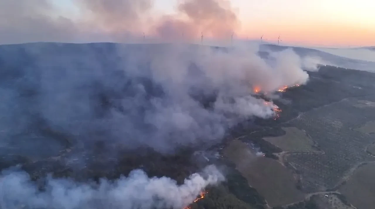 Tekirdağ Şarköy yangın son dakika söndürüldü mü? Tekirdağ Valisi açıklama yaptı
