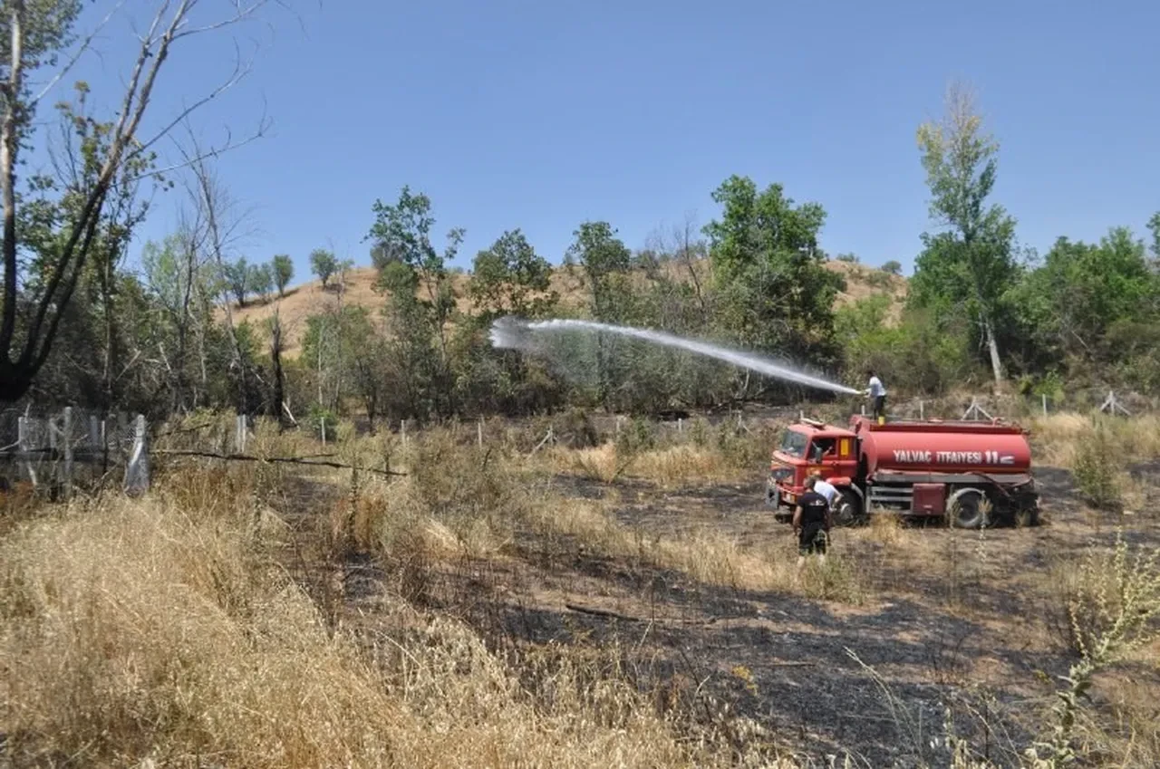 Yangını başlattı, alevler büyüyünce kaçtı