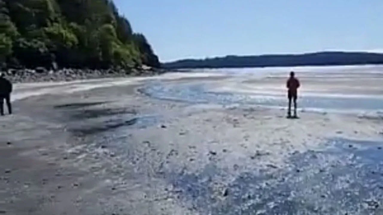 Alaska'da 7,3 büyüklüğünde deprem! Tsunami alarmı verildi, tahliyeler başladı