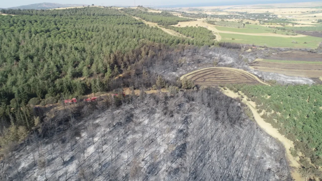 Çanakkale yangın söndü mü son dakika? Orman yangınında son durum bilgisi