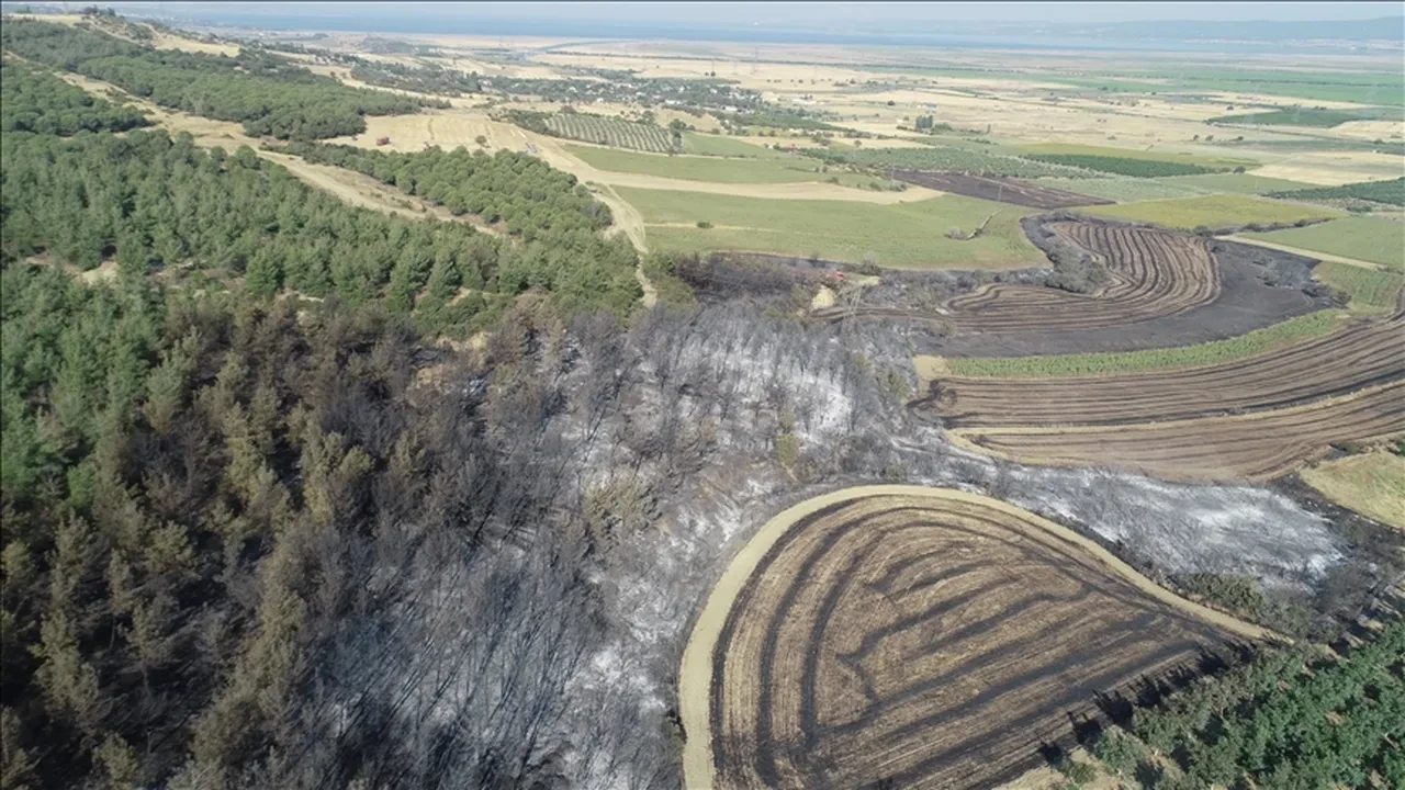 Çanakkale yangın söndü mü son dakika? Orman yangınında son durum bilgisi