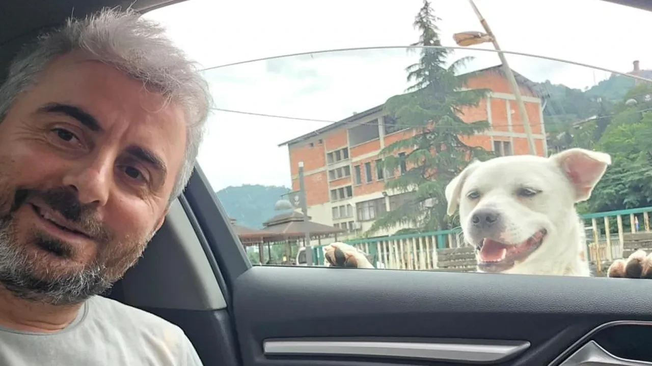 Esnafın sadık dostu! Peşinden bir an olsun ayrılmıyor