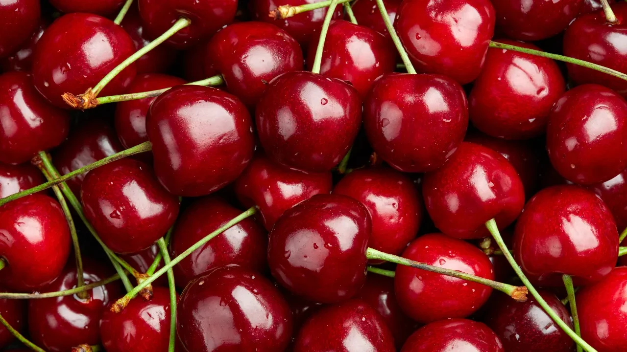 Kirazı don vurdu: 61 bin ton ihracat kaybı 
