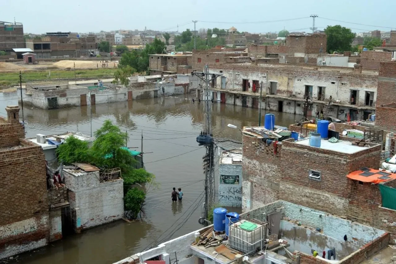 Pakistan'da sel felaketi: Bilanço ağırlaşıyor