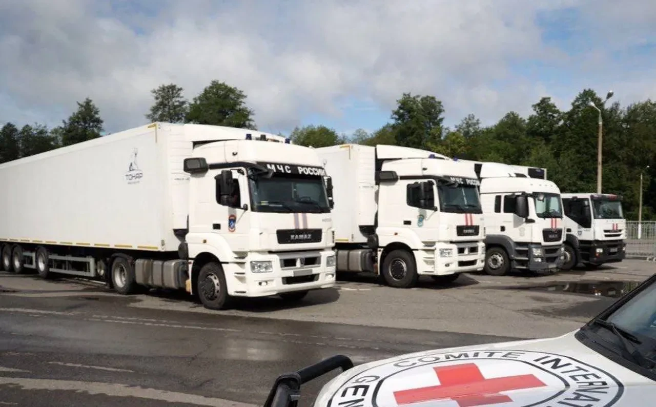 Rusya-Ukrayna arasında cenaze takası: İstanbul'daki anlaşmanın bir parçası