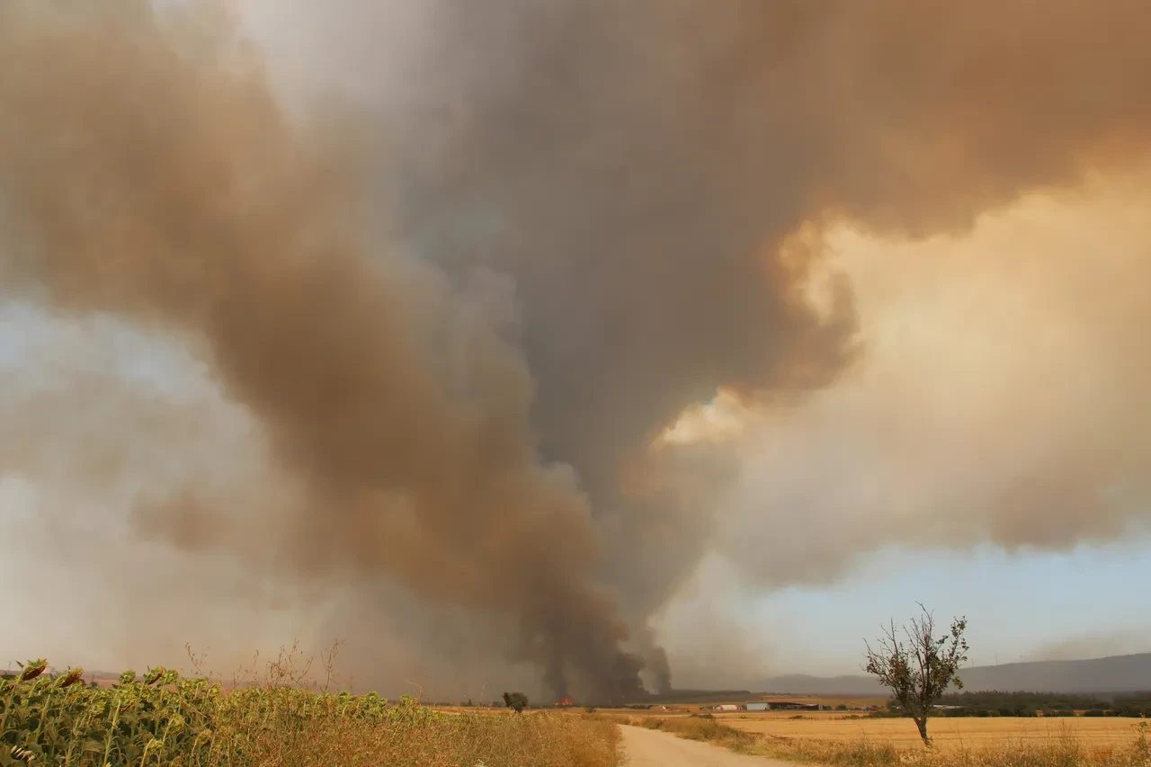 Tekirdağ Şarköy'deki orman yangın kısmen kontrol altına alındı