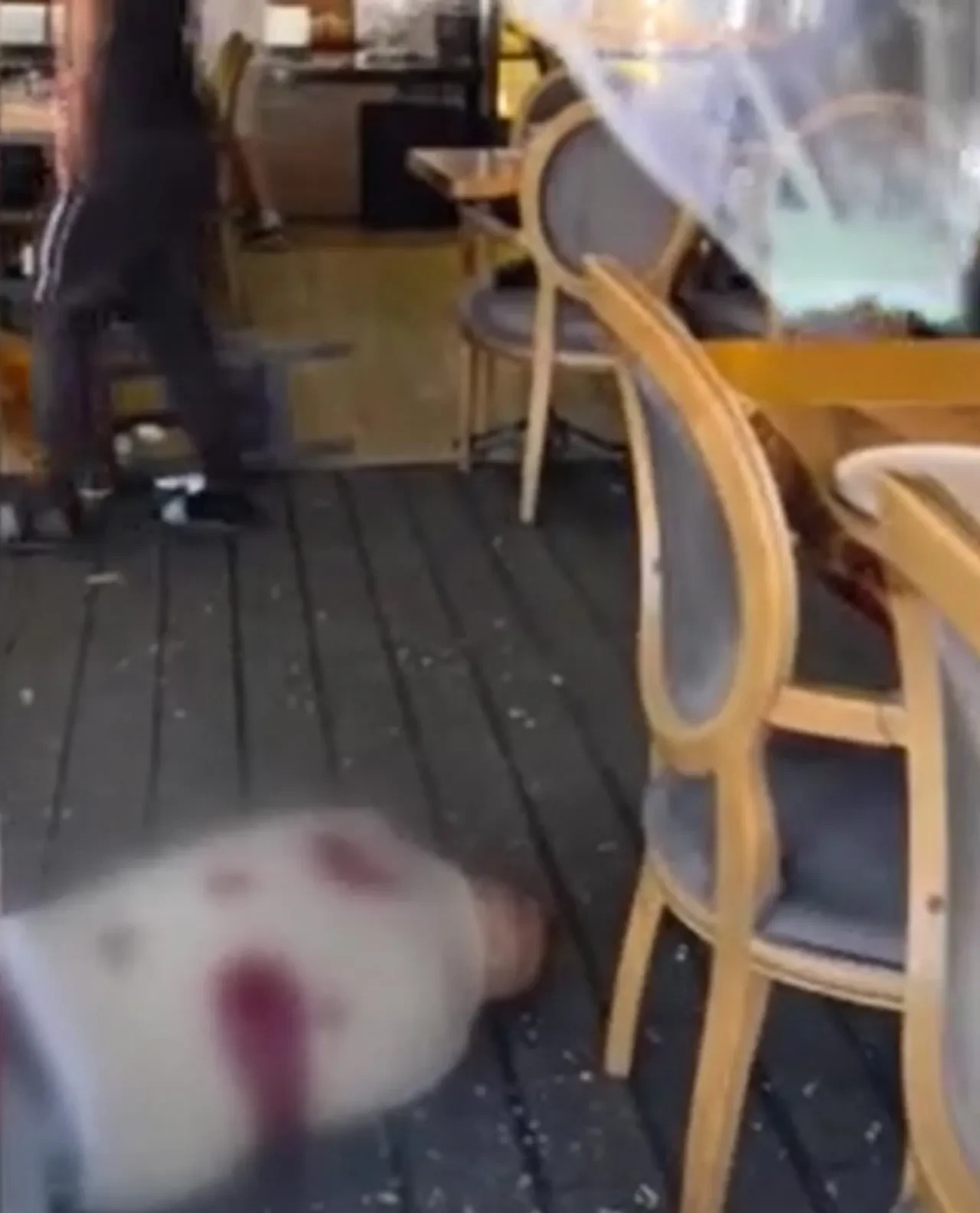 Batum'da restorana saldırı: Türk vatandaşı hayatını kaybetti