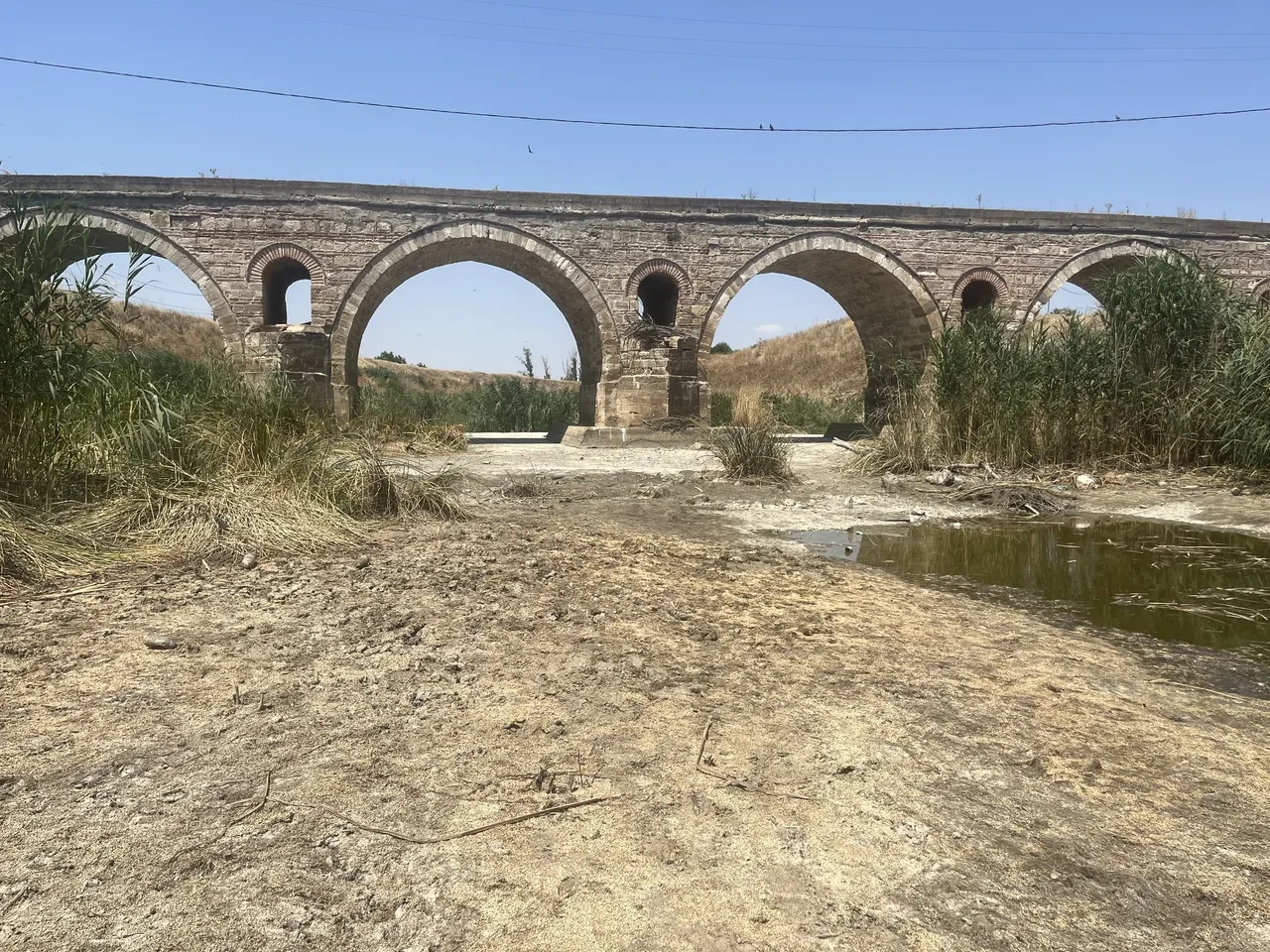 İçimizi acıtan manzara! 'Asla tahmin etmezdik, ilk kez görüyoruz'