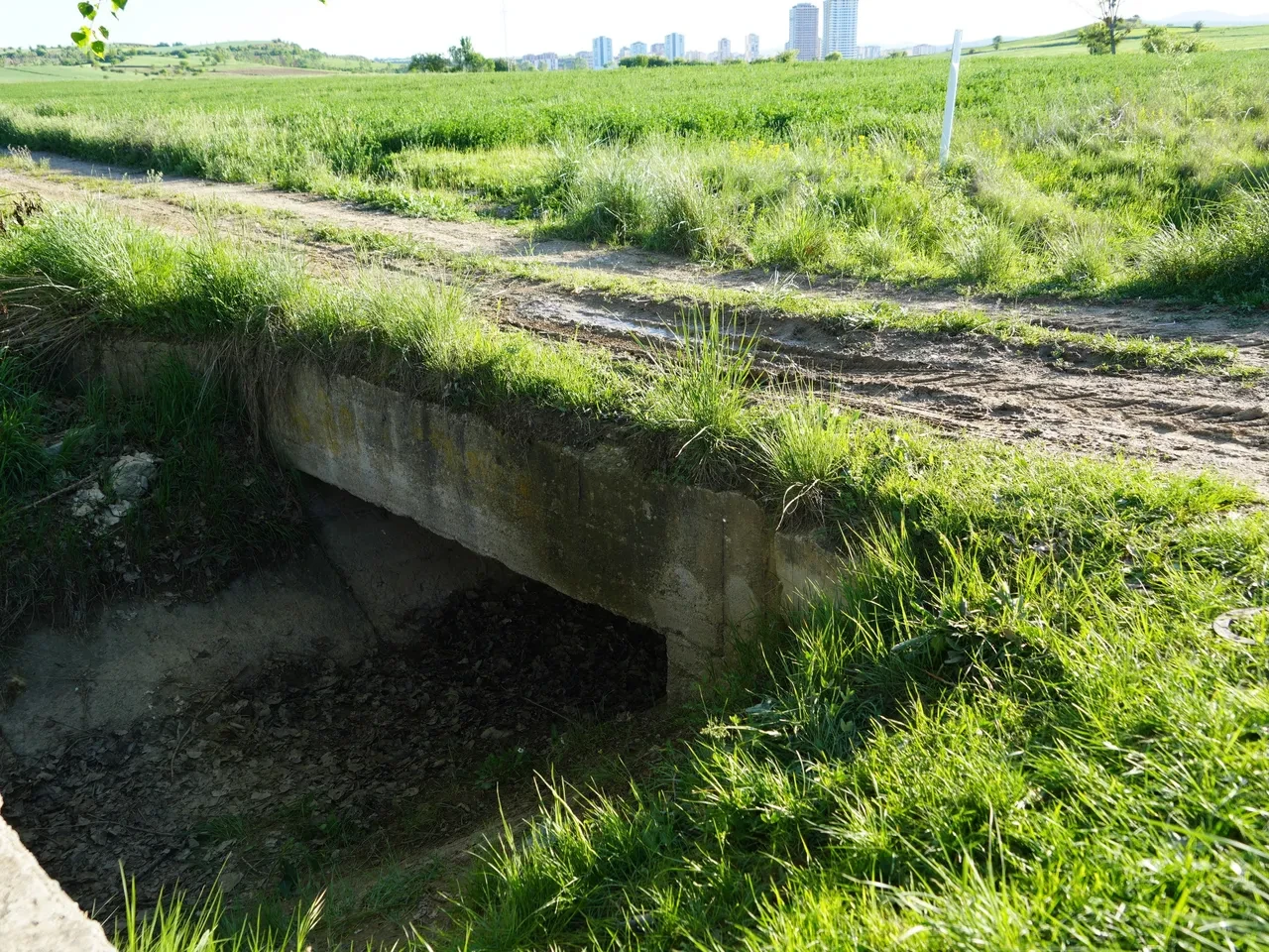 Kan donduran cinayet! Önce vücudu bulundu, sonra kafası: Canilerin cezası belli oldu