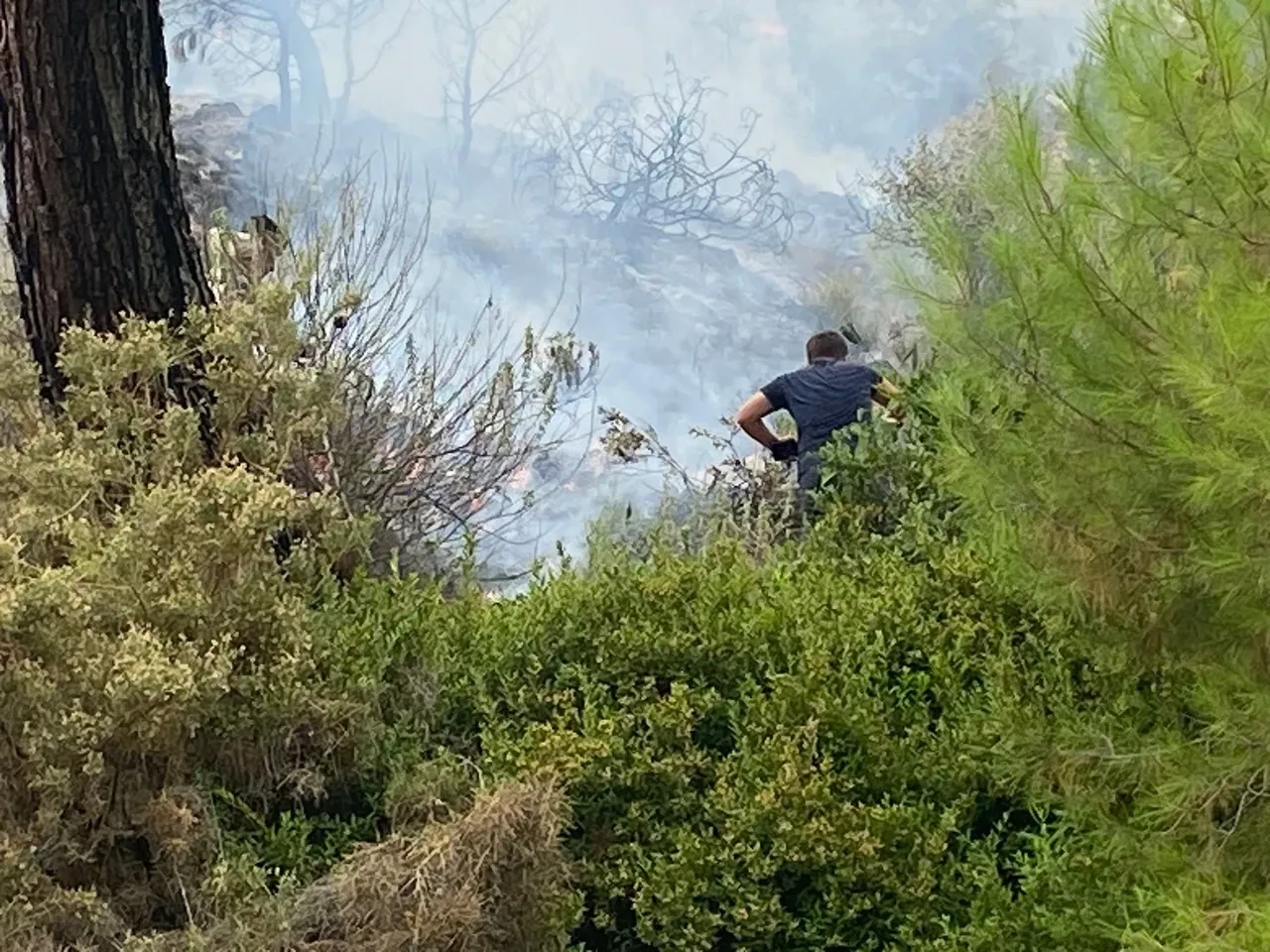 Kumluca’da orman yangını! Vatandaşlar seferber oldu