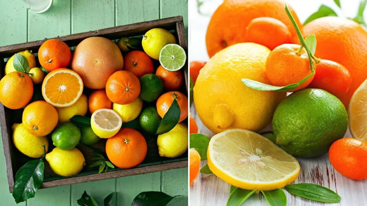 Mutfak güvelerine elveda deyin! İşte mutfaktaki güveleri yok edecek en etkili yöntemler 