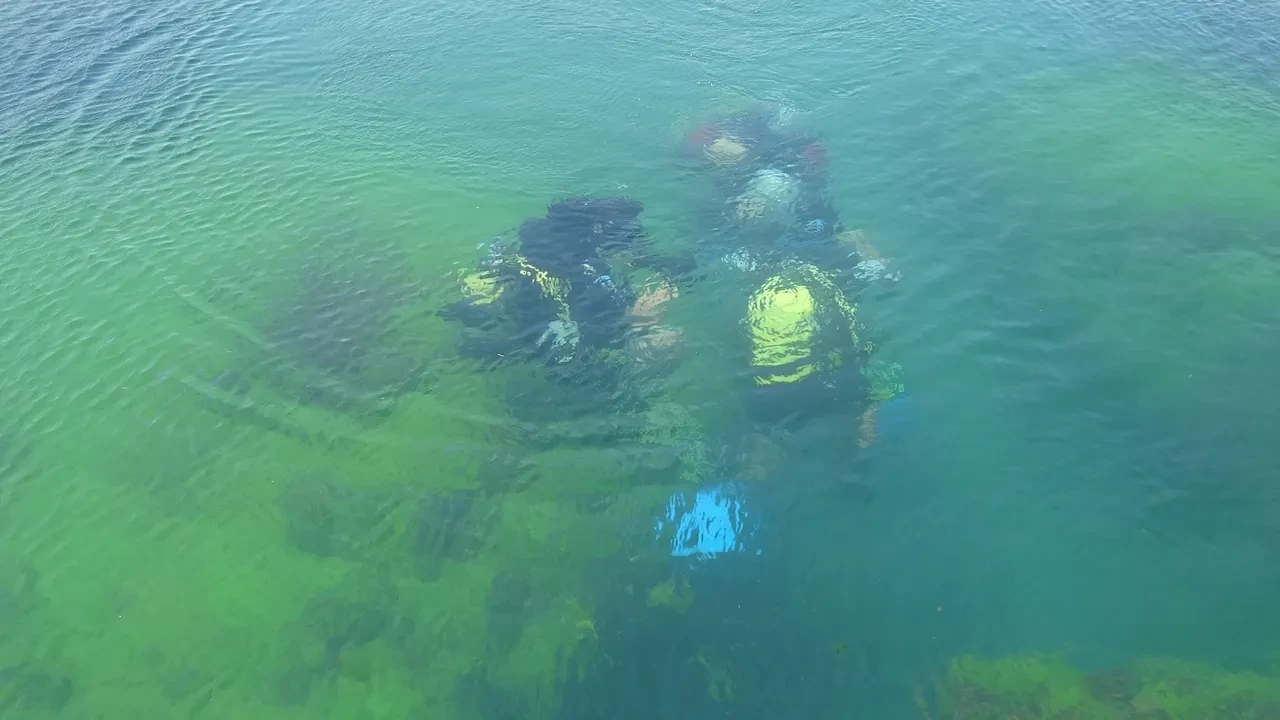 Ordu'da mayın paniği! Dalış faaliyetleri durduruldu: SAS ekipleri bölgede 