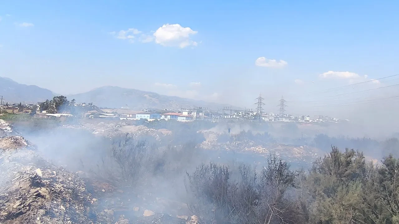 Aydın'da arazide çıkan yangın rüzgarla yayıldı