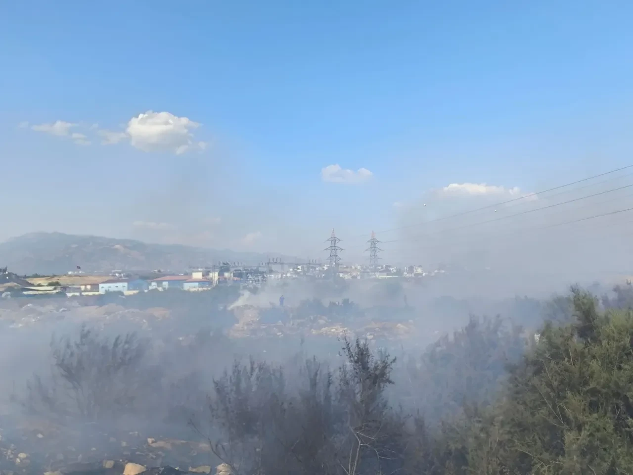 Aydın'da arazide çıkan yangın rüzgarla yayıldı