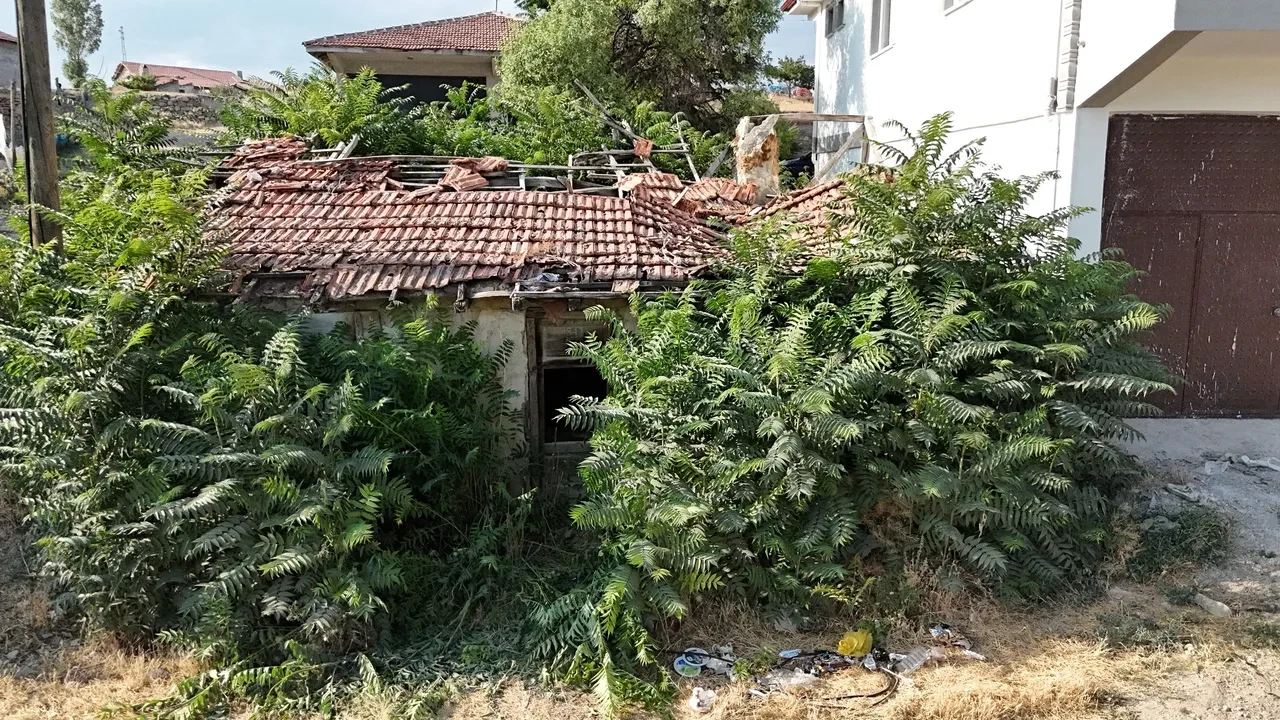 Bütün şehir bunu konuşuyor: Çocukluğumuzun kahramanı Keloğlan meğer bizdenmiş!