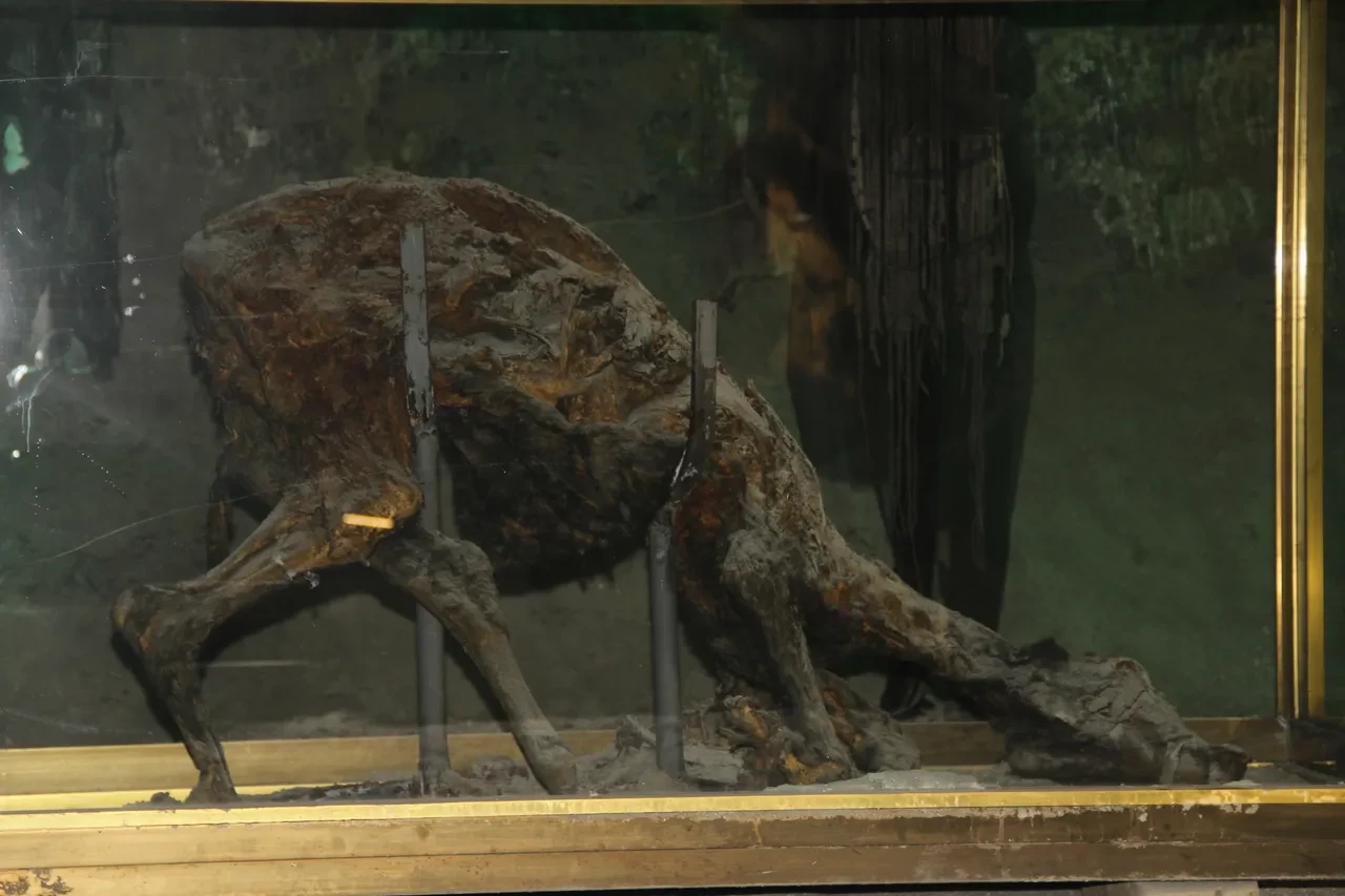 Bütün şehir bunu konuşuyor: Çocukluğumuzun kahramanı Keloğlan meğer bizdenmiş!