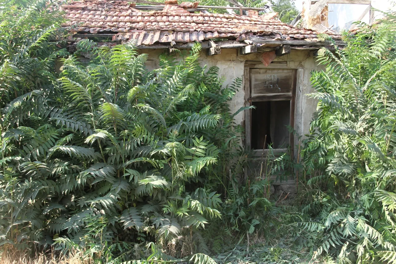Bütün şehir bunu konuşuyor: Çocukluğumuzun kahramanı Keloğlan meğer bizdenmiş!