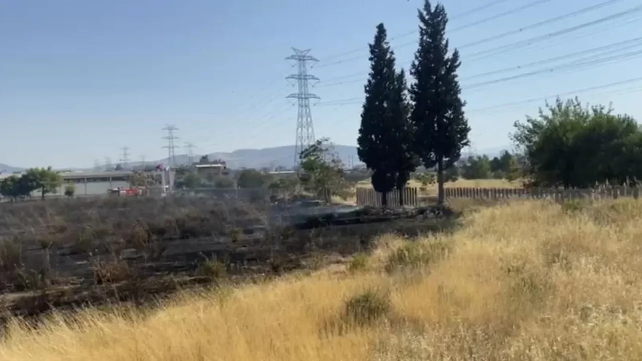 İzmir'de korkutan yangın! AVM'ye sıçradı