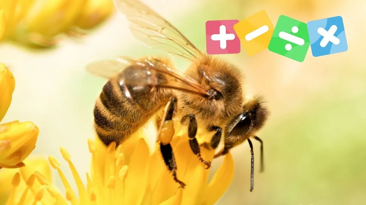 Bu hayvanlar basit matematik yapabiliyor! Hayatta kalmak için sayı sayıyorlar