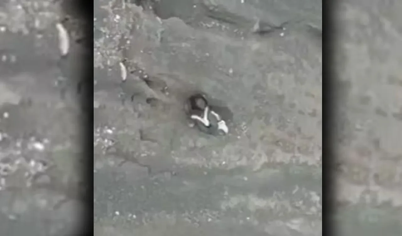 Dağ tırmanışında yanardağa düşen genç kızdan ailesine son mesaj