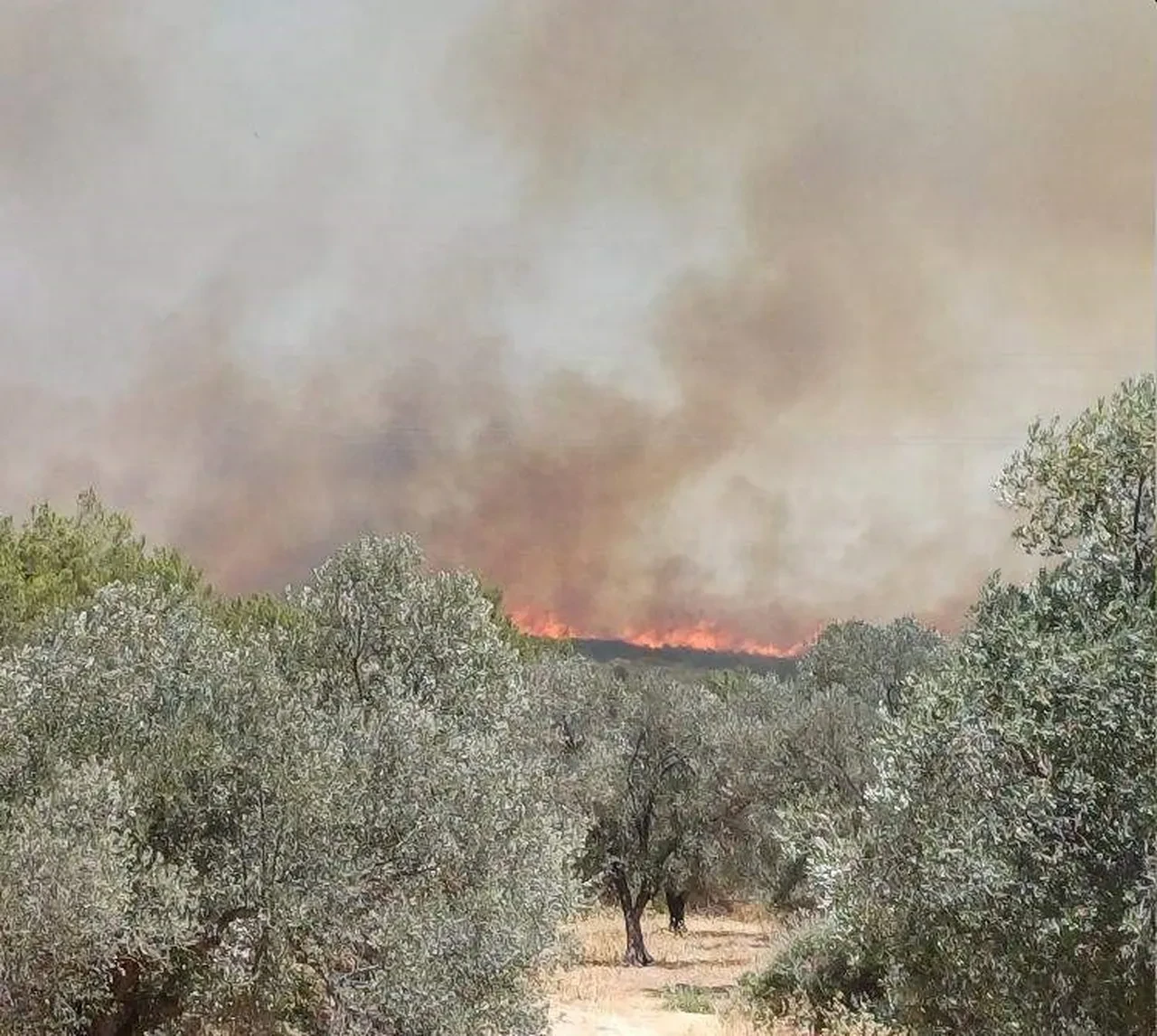 İzmir Çeşme yangın son dakika söndürüldü mü? Yerleşim yerine yakın bölgede yangın çıktı