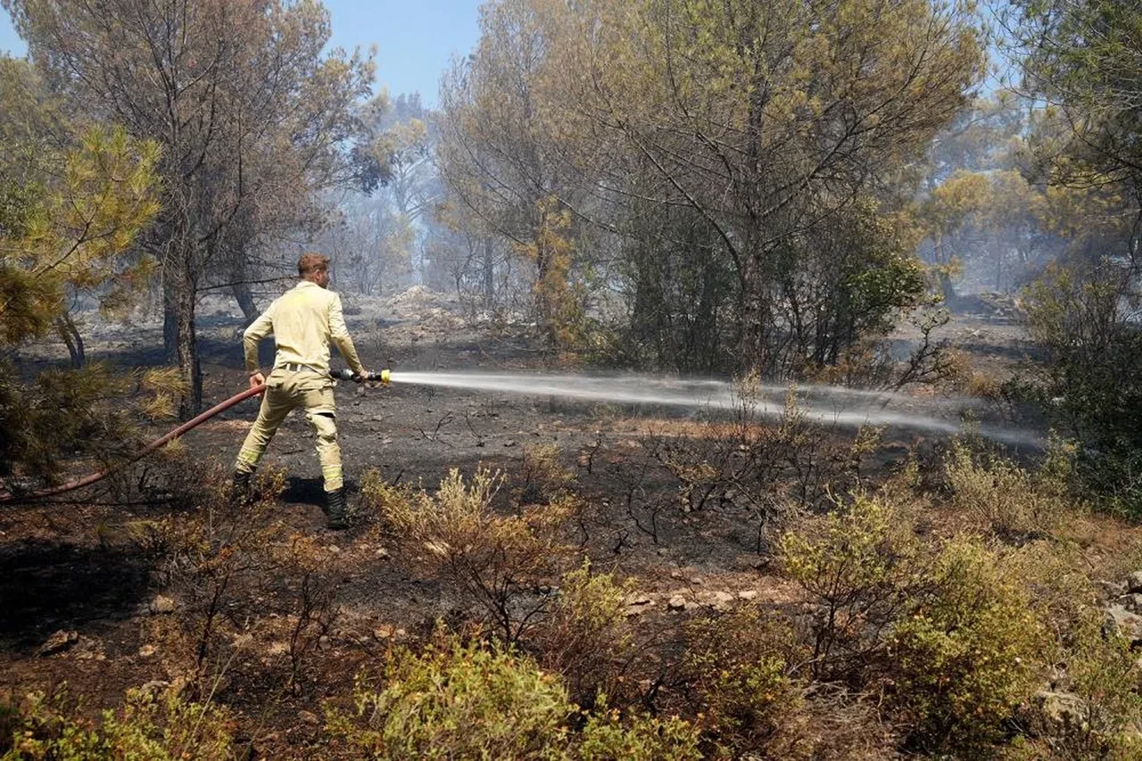İzmir'de yangın büyüdü: Yerleşim yerleri tahliye ediliyor! Yangının çıkış sebebine ilişkin açıklama