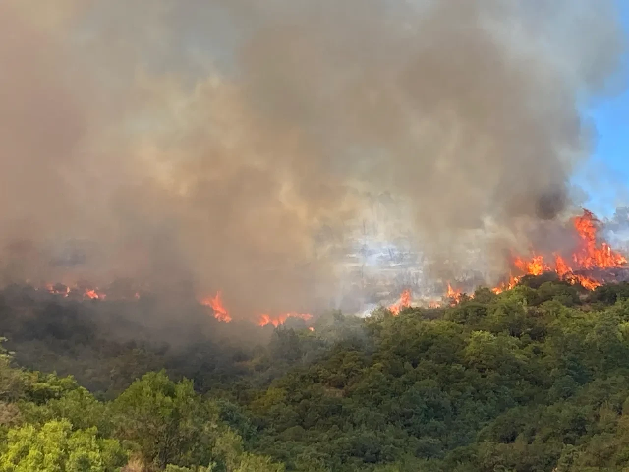 Kocaeli Körfez, Derince yangın son dakika söndürüldü mü? Bölgeye çok sayıda ekip gönderildi