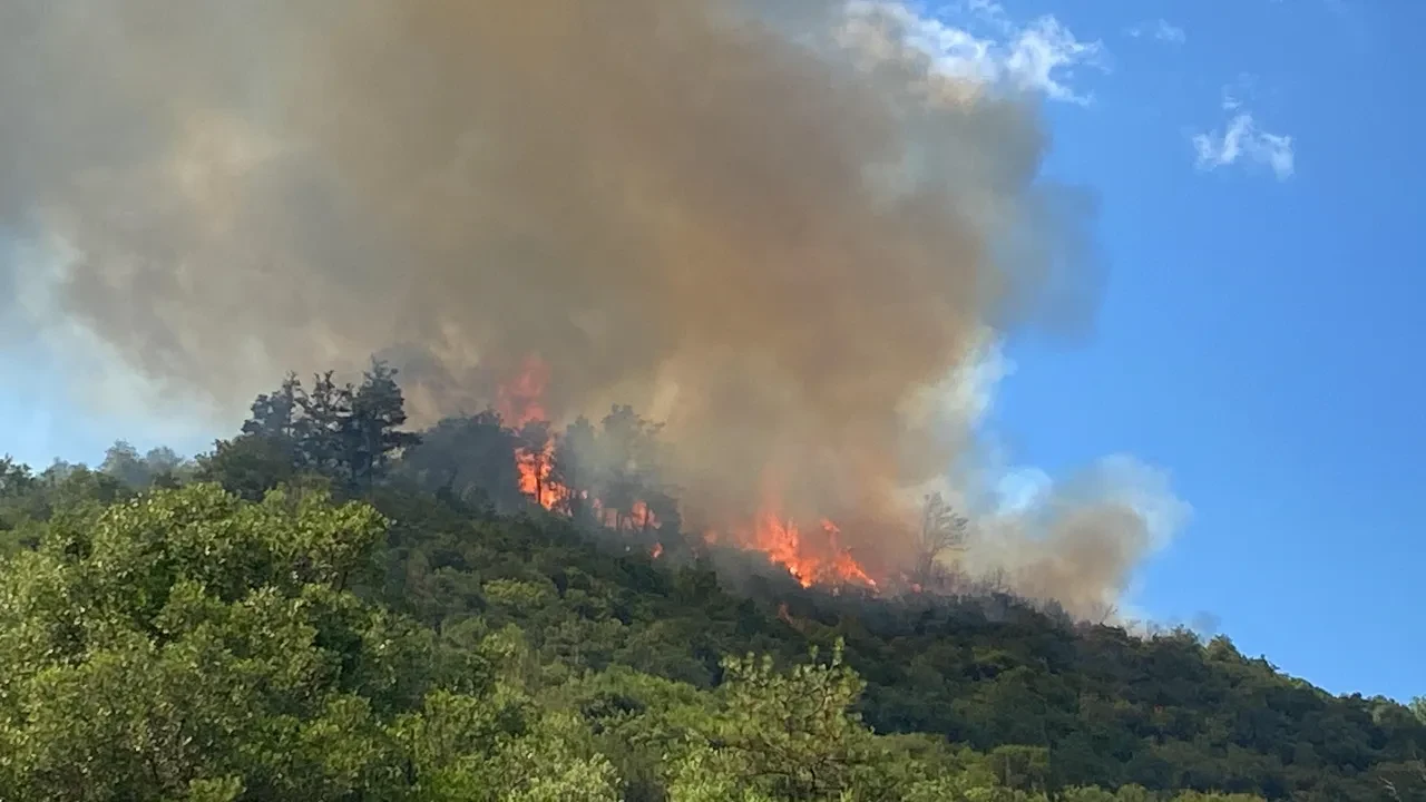 Kocaeli Körfez, Derince yangın son dakika söndürüldü mü? Bölgeye çok sayıda ekip gönderildi