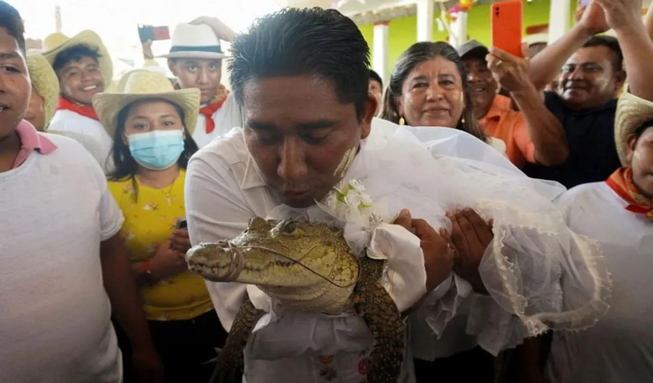 Meksika'da 230 yıllık garip gelenek! Belediye başkanı timsahla evlendi