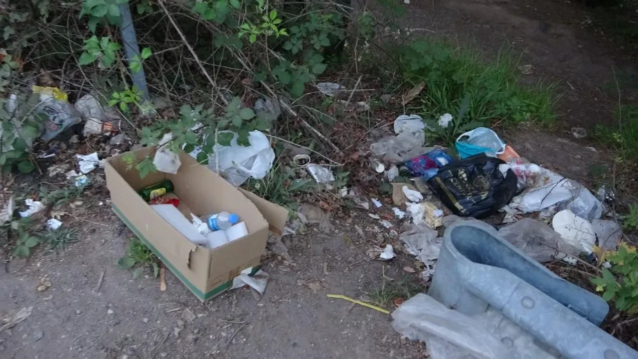 Şile'de utandıran görüntüler! Ormanlarında çevre kirliliği alarmı