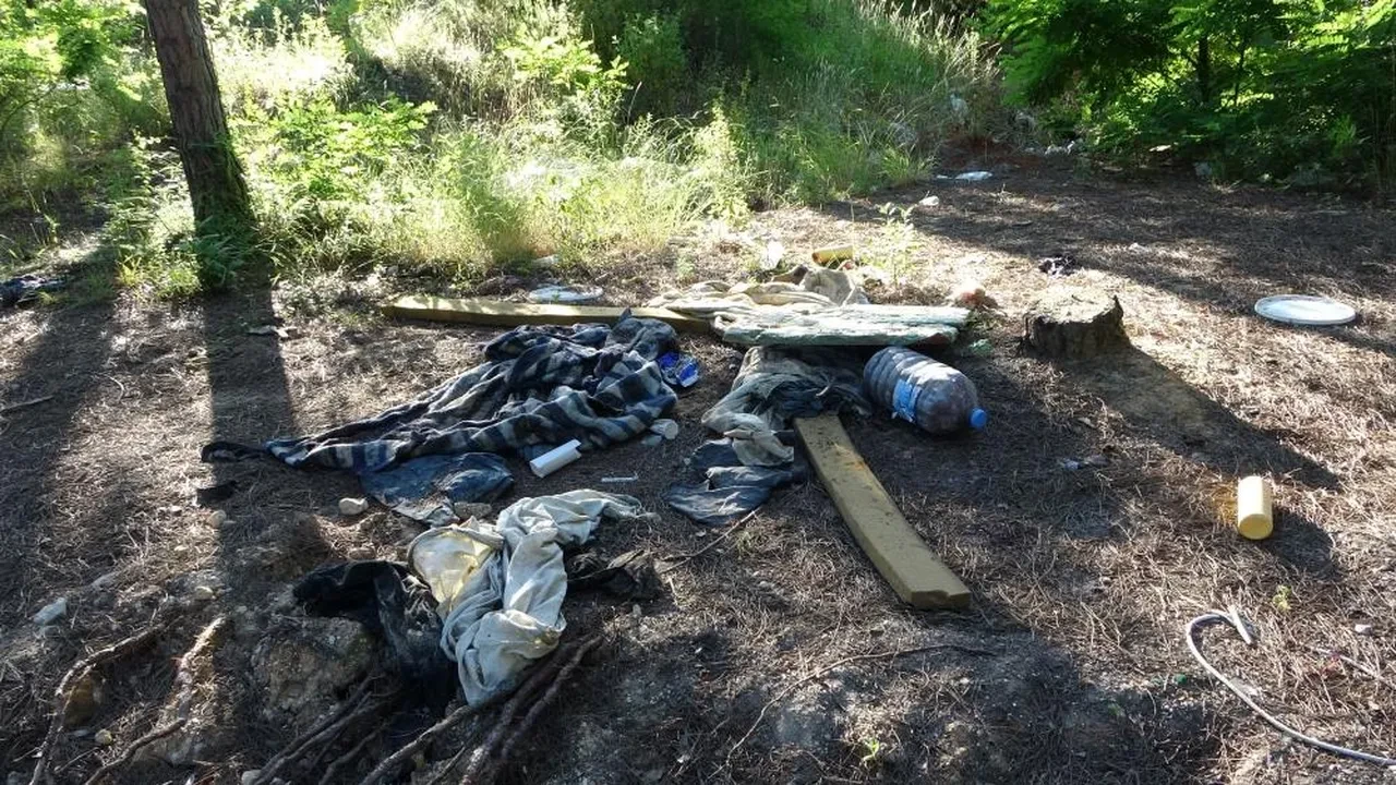 Şile'de utandıran görüntüler! Ormanlarında çevre kirliliği alarmı