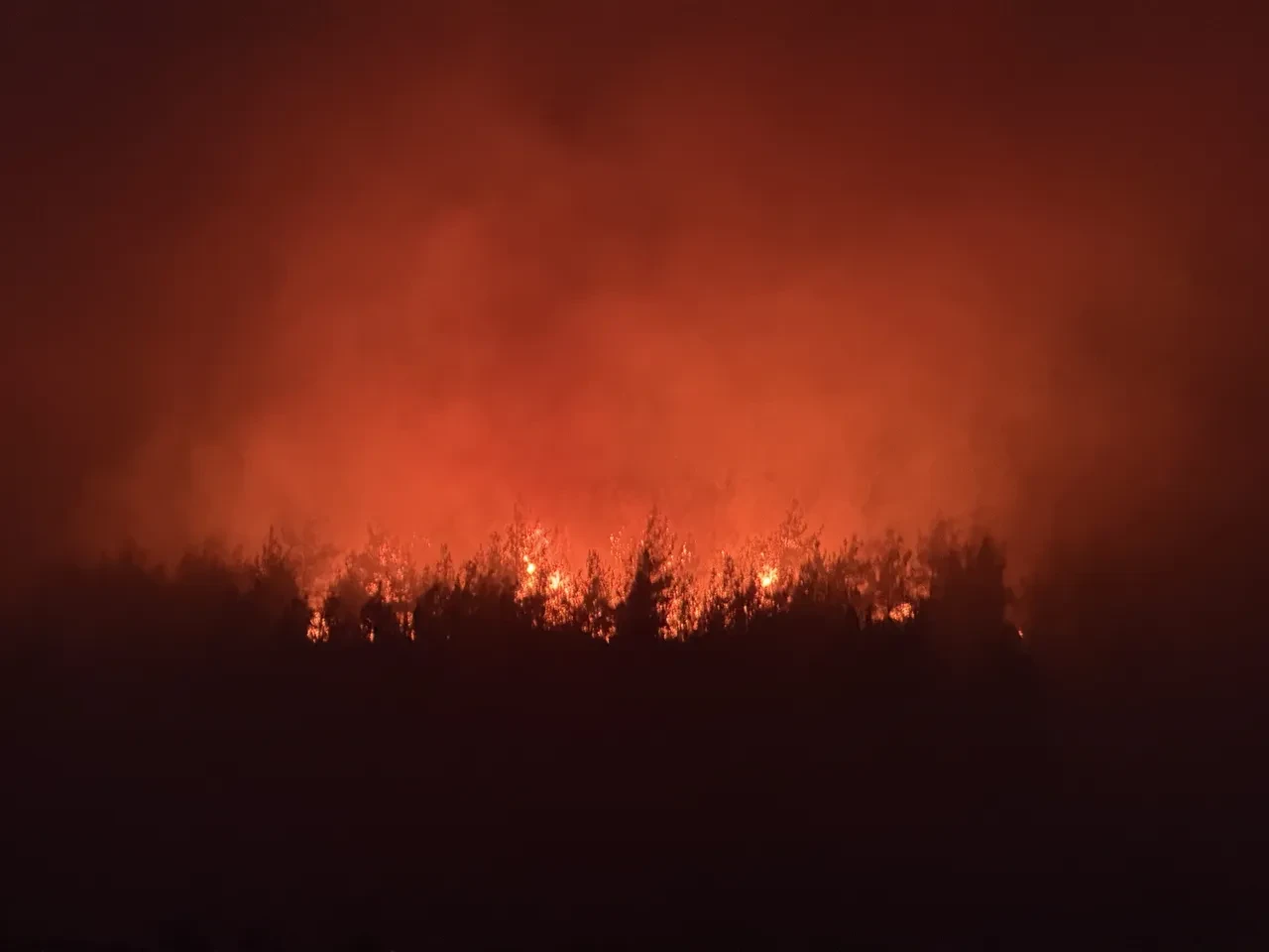 Sakarya Gevye’deki yangında son durum ne söndürüldü mü? Tarım arazilerine sıçradı
