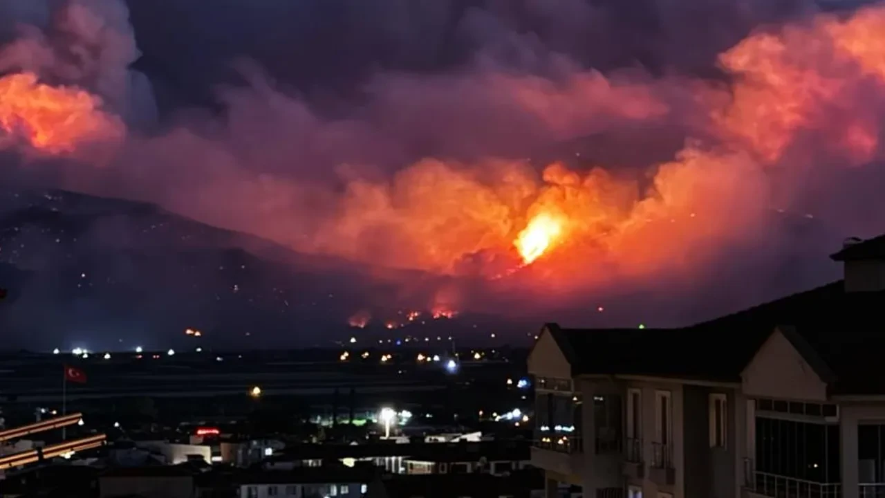 Sakarya, Uşak ve Bilecik'te orman yangını! Ekipler seferber oldu
