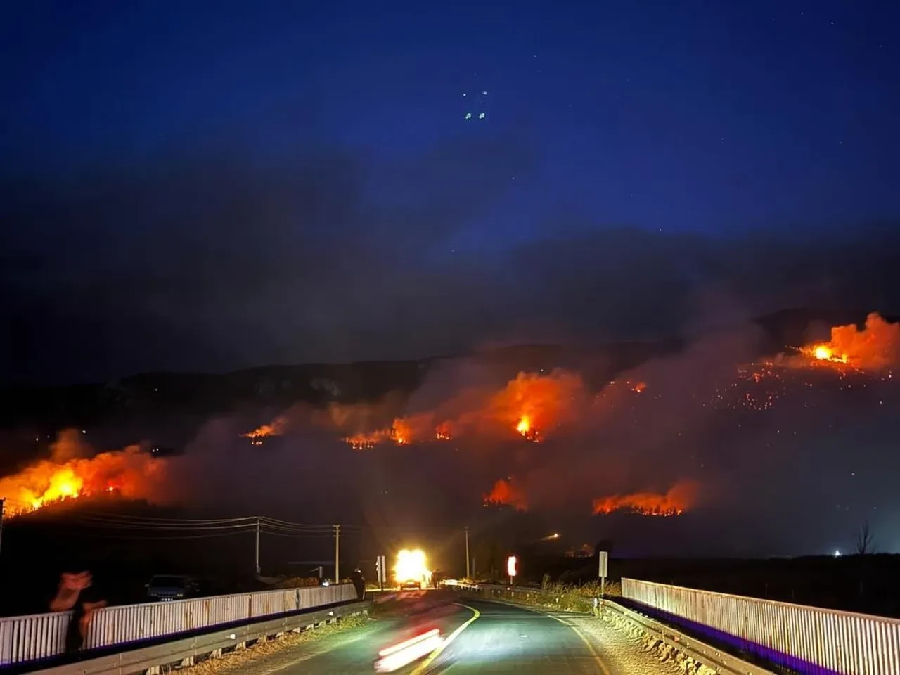 Sakarya, Uşak ve Bilecik'te orman yangını! Ekipler seferber oldu