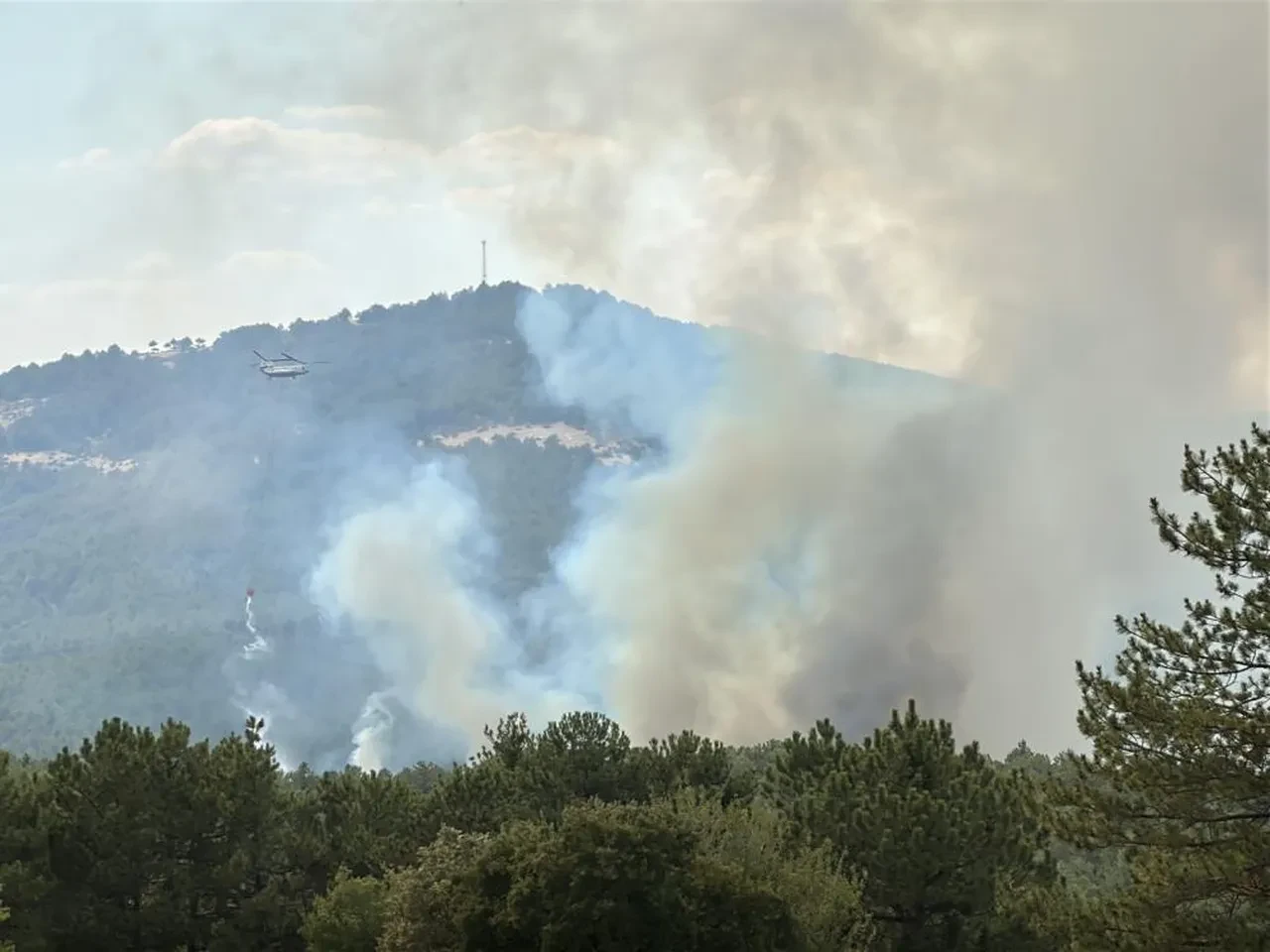 Sakarya, Uşak ve Bilecik'te orman yangını! Ekipler seferber oldu