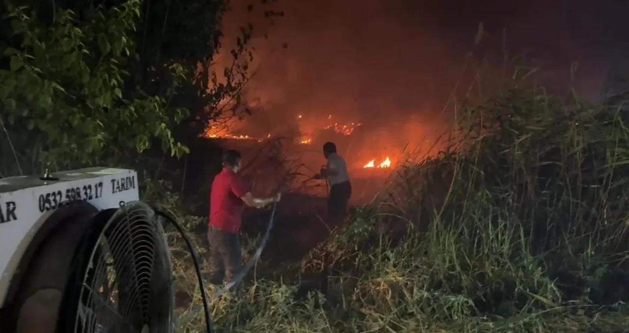 Sakarya, Uşak ve Bilecik'te orman yangını! Ekipler seferber oldu