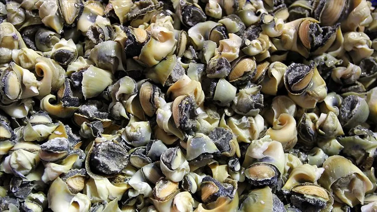 Türkiye’de tüketilmediği için satılıyor: 4,5 milyon dolar kazandırıyor!