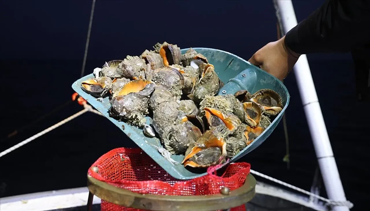 Türkiye’de tüketilmediği için satılıyor: 4,5 milyon dolar kazandırıyor!