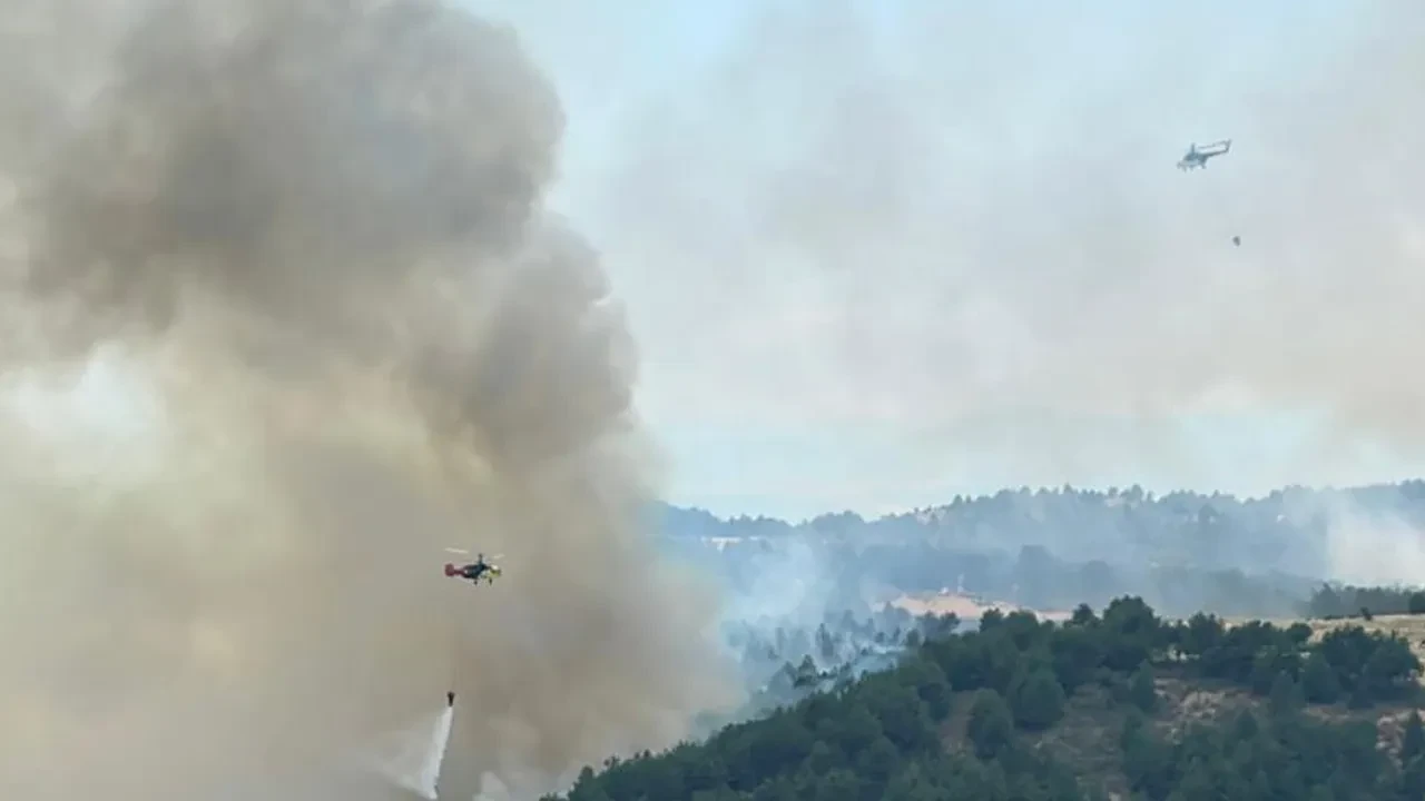 Uşak'ta orman yangını! Alevlere havadan ve karadan müdahale sürüyor